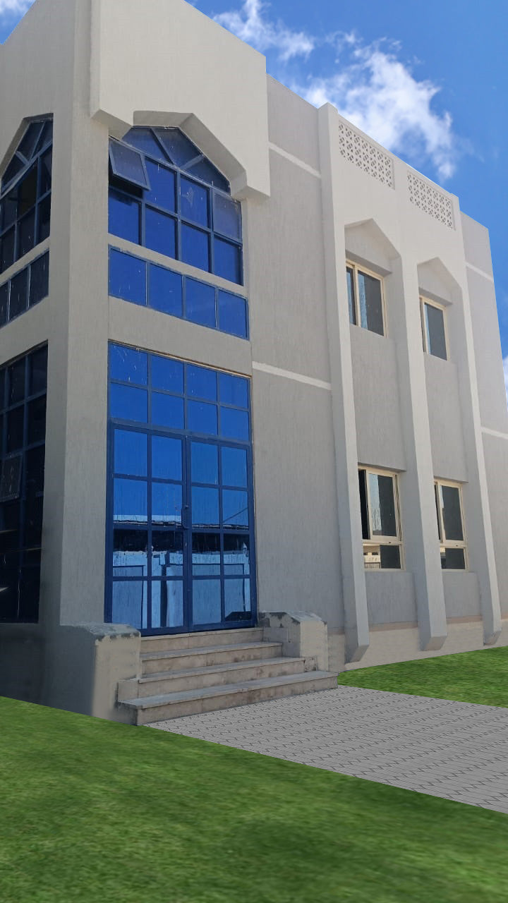 Villa Taiba - PVA primer, Graffio